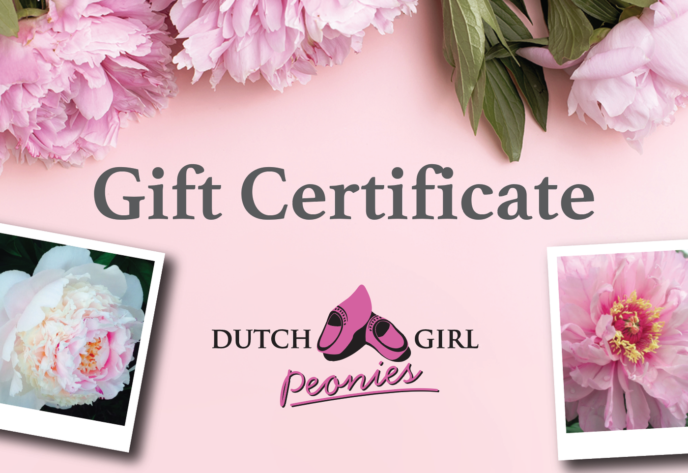 Gift Certificate for Dutch Girl Peonies