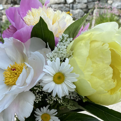 Peony Flower Subscription