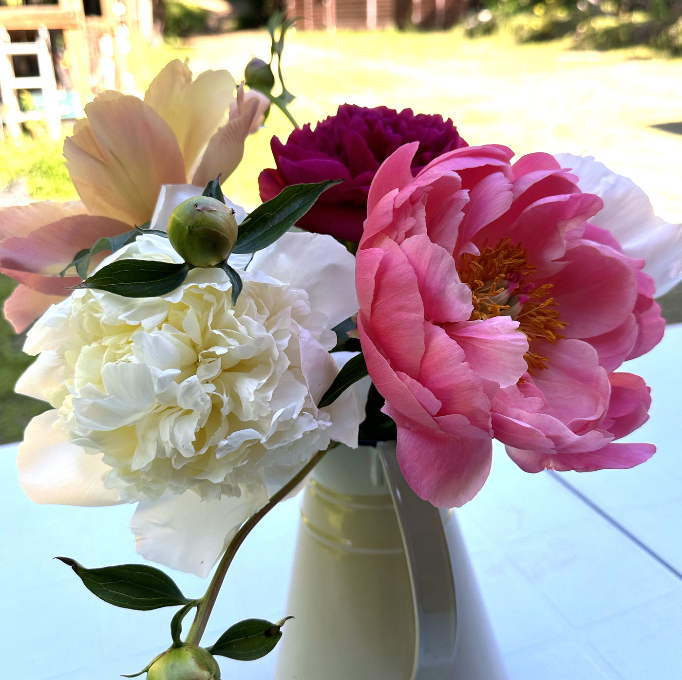 Peony Flower Subscription